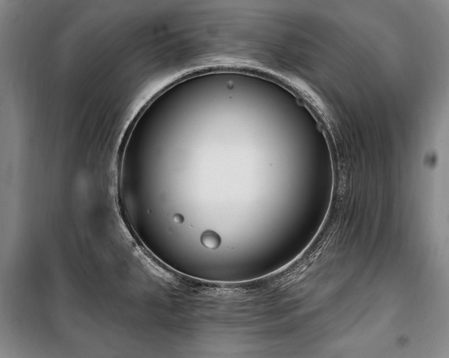 X0000101181287200806271243