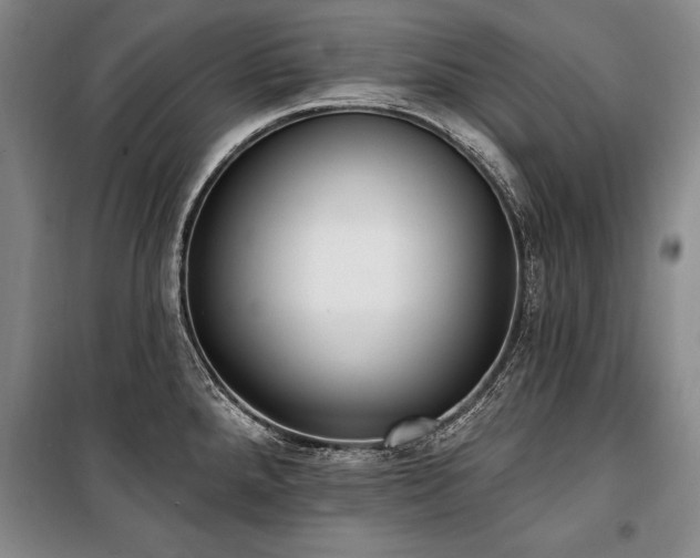 X0000101181288200806271243