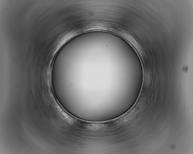 X0000101181290200806271243