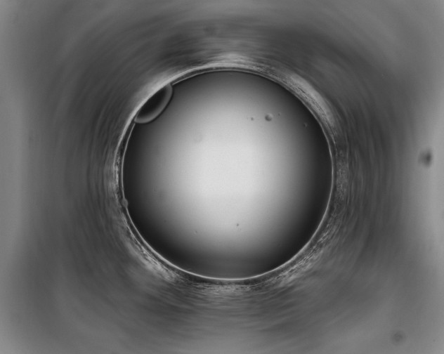 X0000101181292200806271243