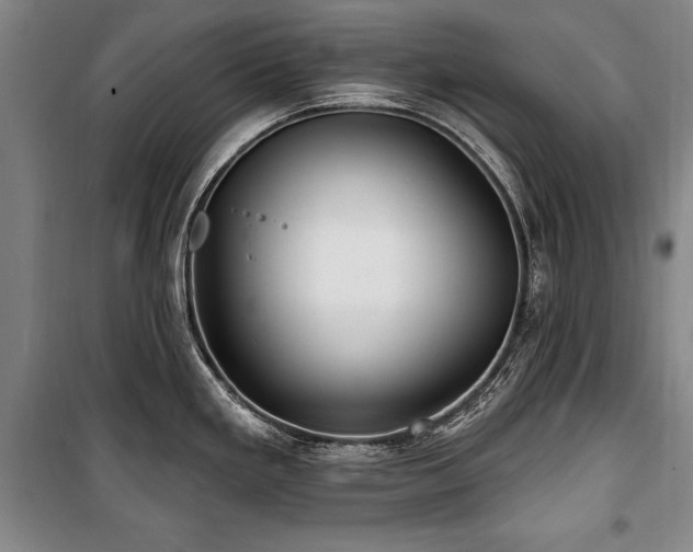 X0000101181293200806271243