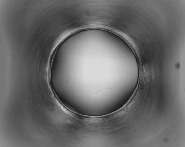 X0000101181294200806271243