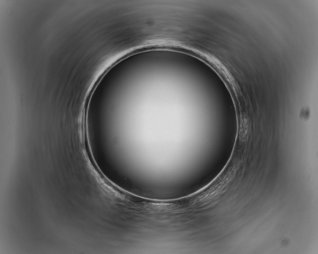 X0000101181295200806271243