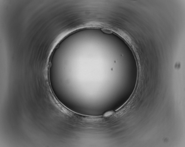 X0000101181296200806271243