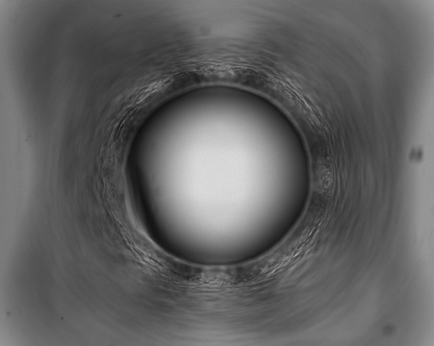 X0000101181297200806271242