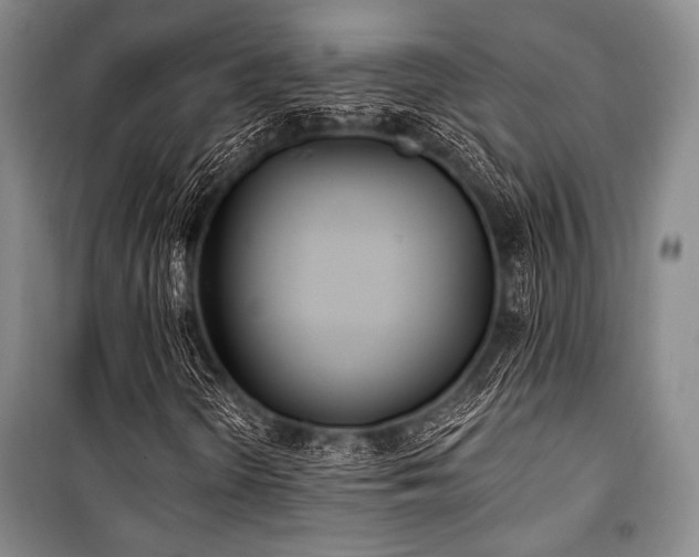 X0000101181298200806271242