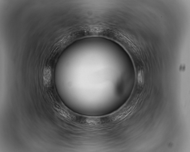 X0000101181299200806271242