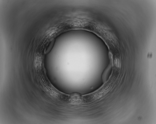 X0000101181300200806271242