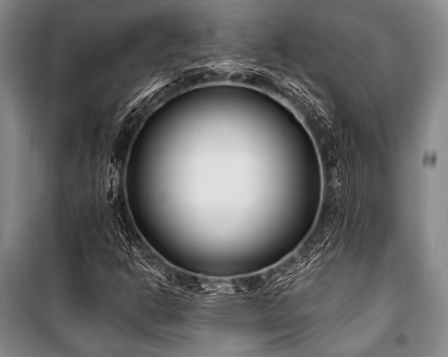 X0000101181302200806271242