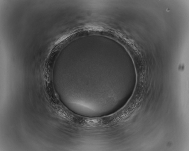 X0000101181303200806271242
