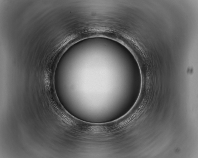 X0000101181305200806271242