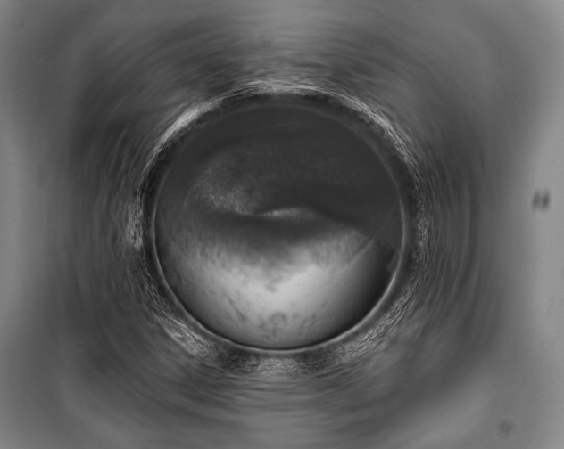X0000101181306200806271242