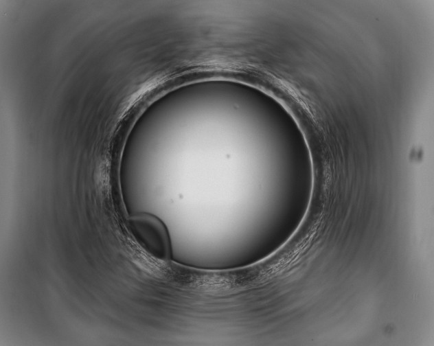 X0000101181307200806271242