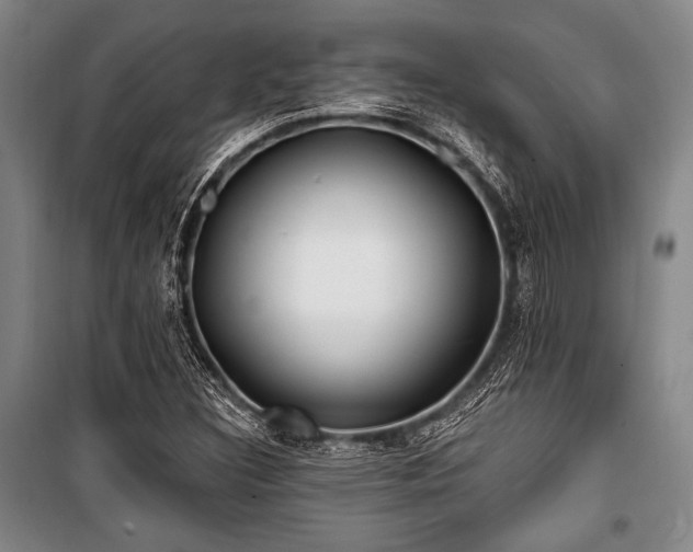 X0000101181308200806271242