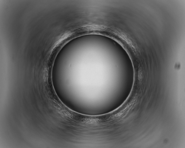 X0000101181309200806271242