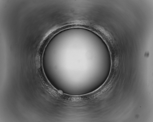 X0000101181310200806271242