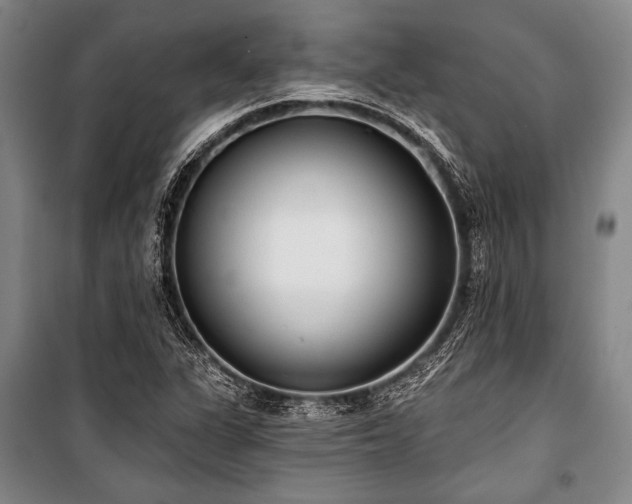 X0000101181311200806271242