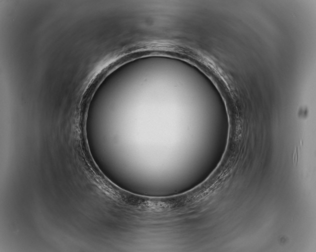 X0000101181312200806271242