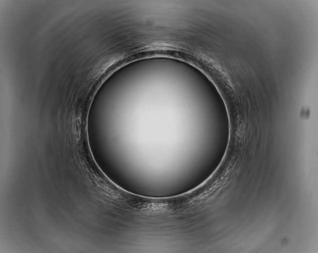 X0000101181313200806271242