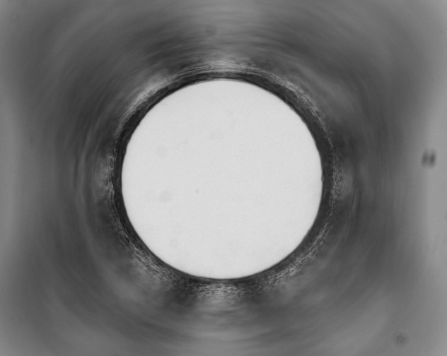X0000101181314200806271242
