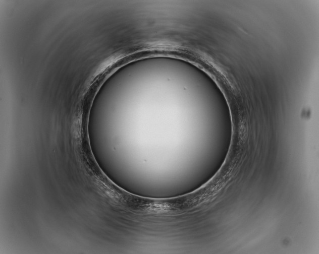 X0000101181315200806271242