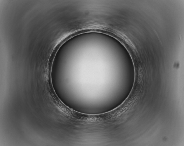 X0000101181316200806271242