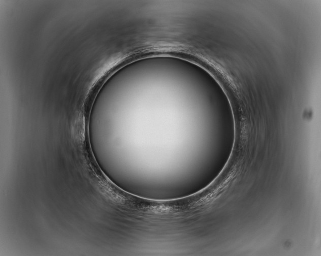 X0000101181317200806271242