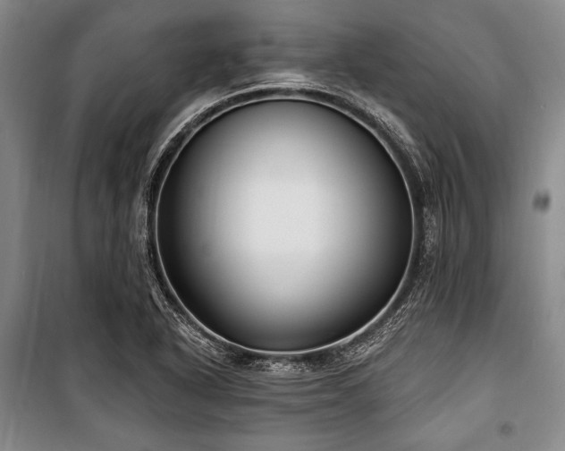 X0000101181318200806271242