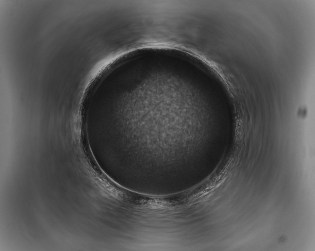 X0000101181319200806271242