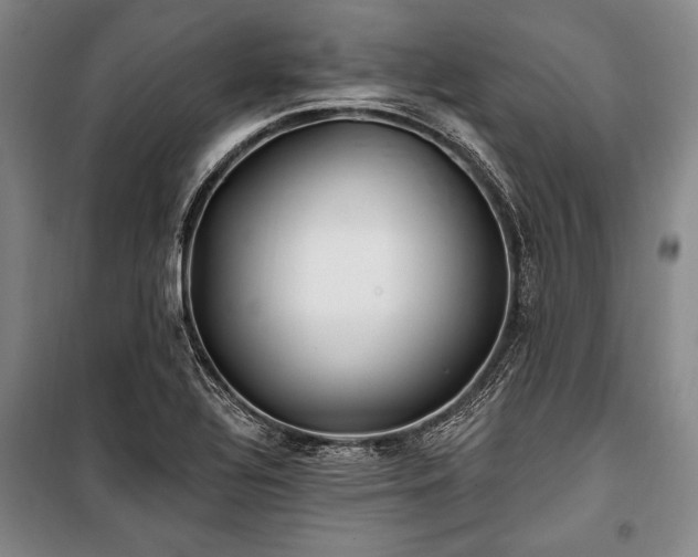 X0000101181320200806271242