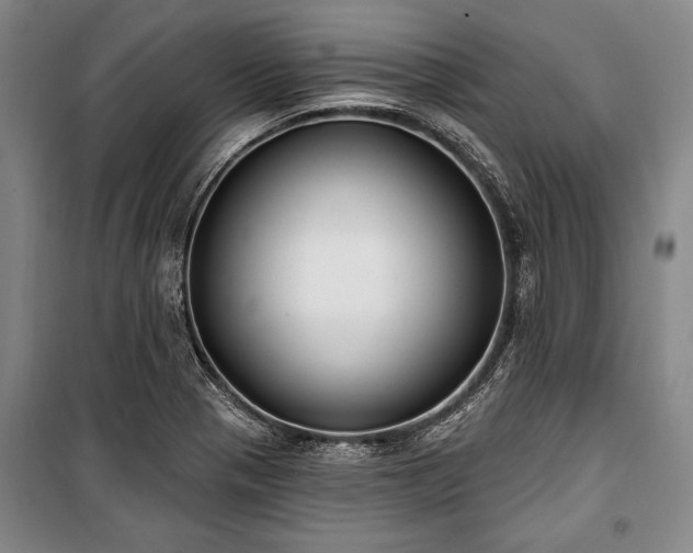 X0000101181321200806271243