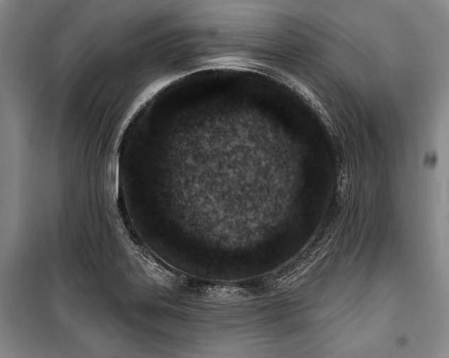 X0000101181323200806271243