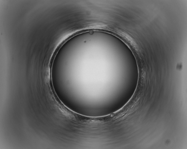 X0000101181324200806271243