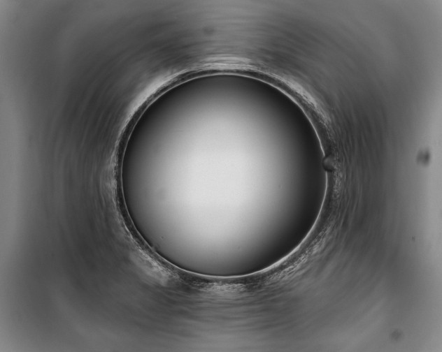 X0000101181325200806271243