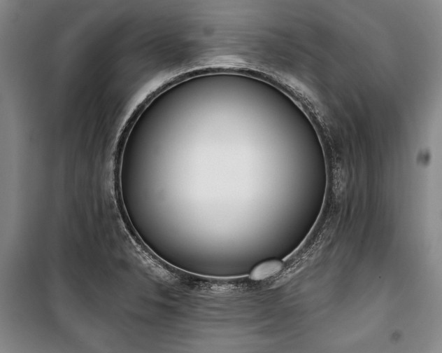 X0000101181326200806271243