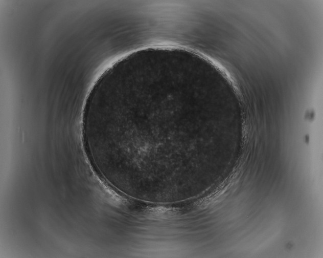 X0000101181327200806271243