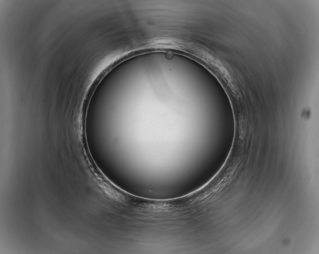 X0000101181328200806271243