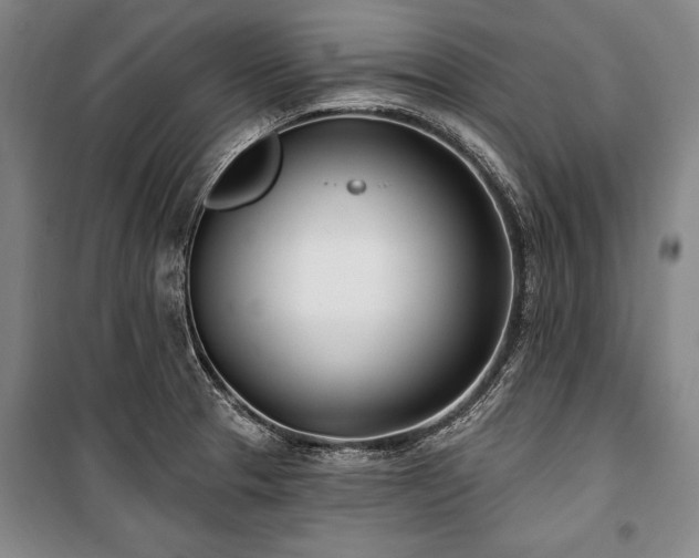 X0000101181329200806271243
