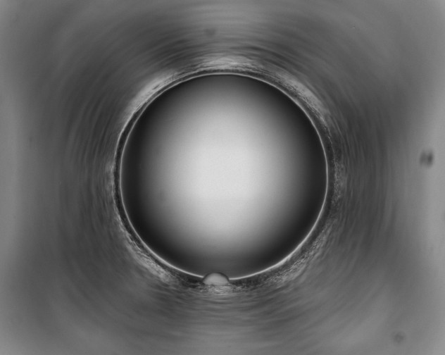 X0000101181330200806271243