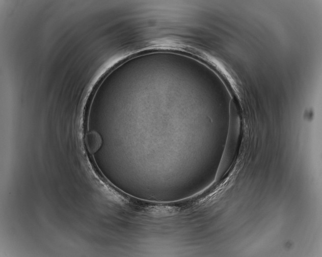 X0000101181331200806271243