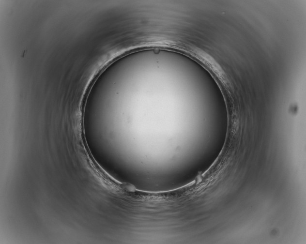 X0000101181332200806271243