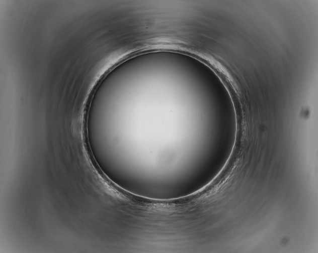 X0000101181333200806271243