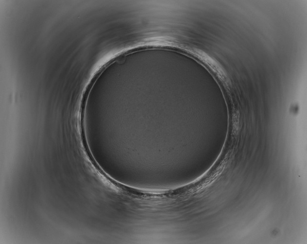 X0000101181334200806271243