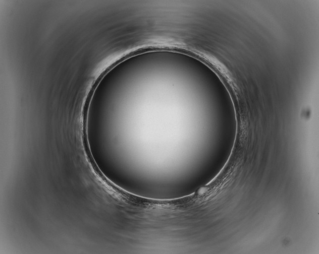 X0000101181335200806271243