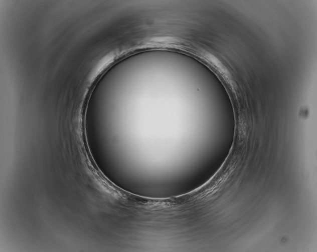 X0000101181336200806271243