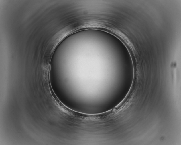 X0000101181337200806271243