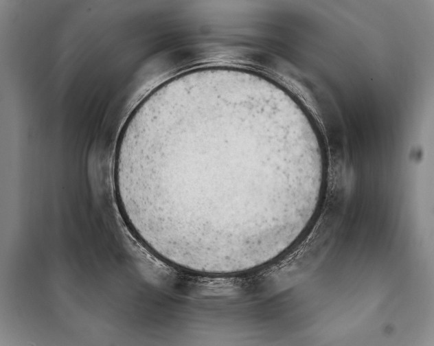 X0000101181338200806271243