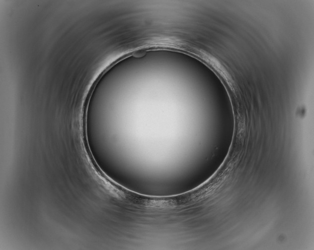 X0000101181339200806271243