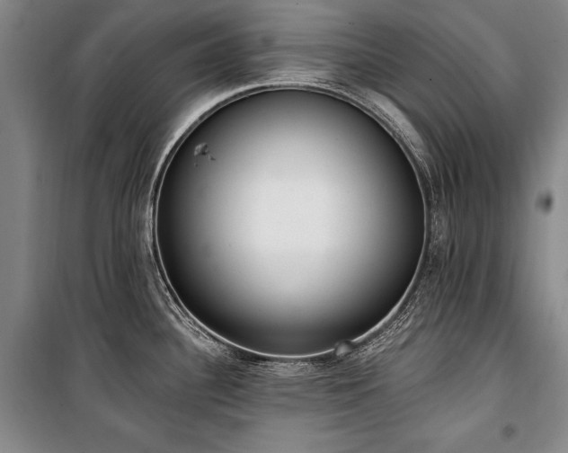 X0000101181340200806271243