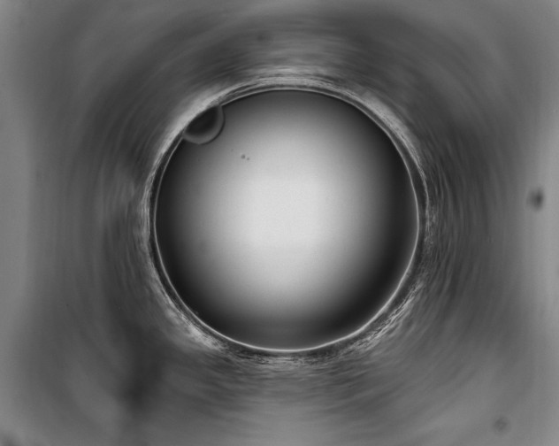 X0000101181341200806271243